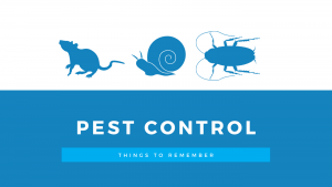 Pest Control Dog Danger