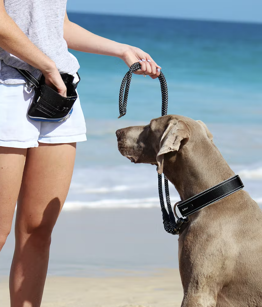 Huskimo Treat Pouch