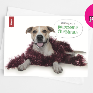 DRH Christmas Cards 2020