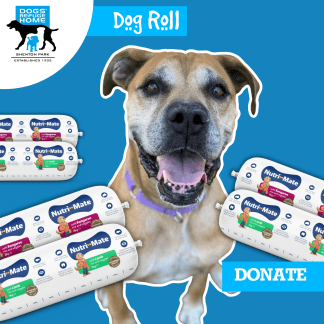 DONATE- Dog Roll