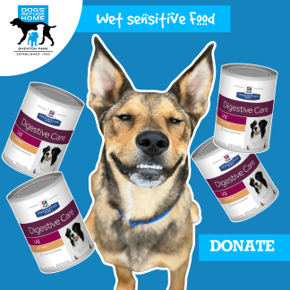 DONATE- Sensitive Wet Food