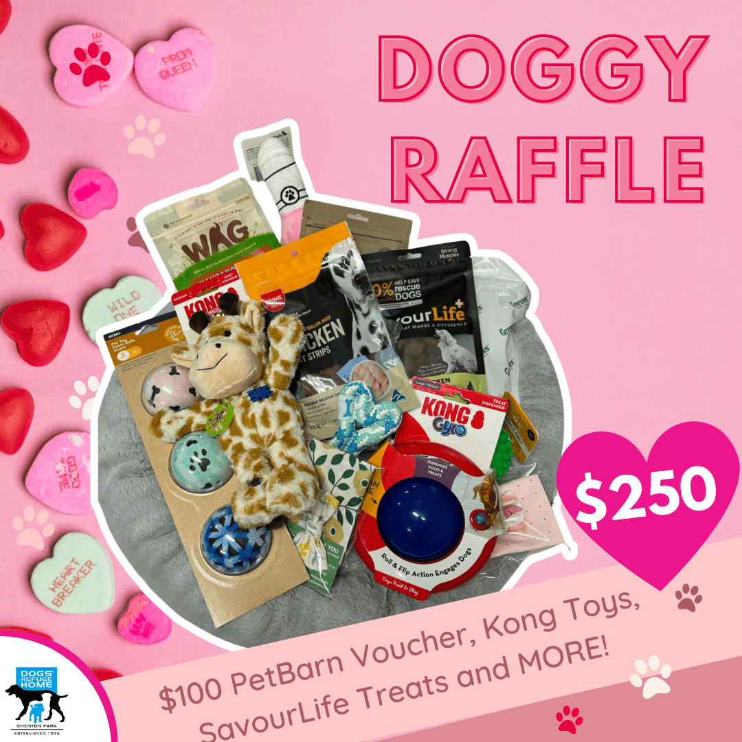 Valentine's Day Raffle Tickets! - Image 10