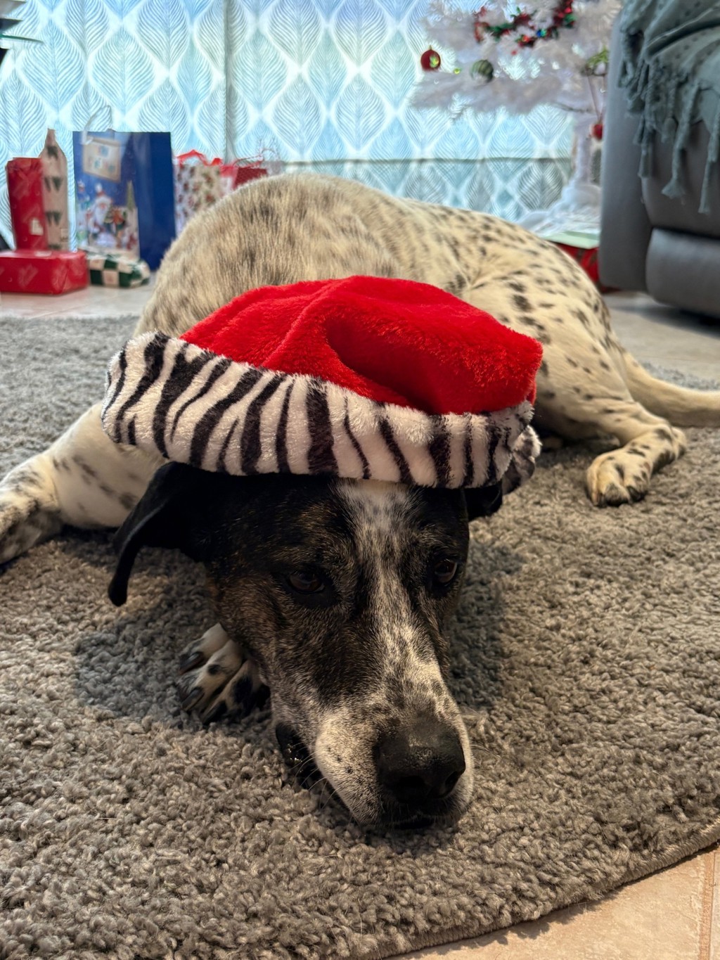 Ralphie