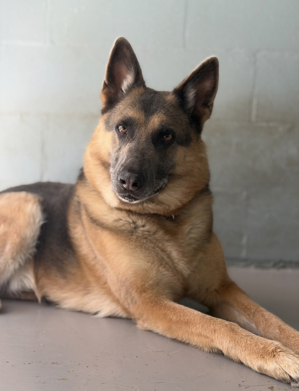 Ragnar