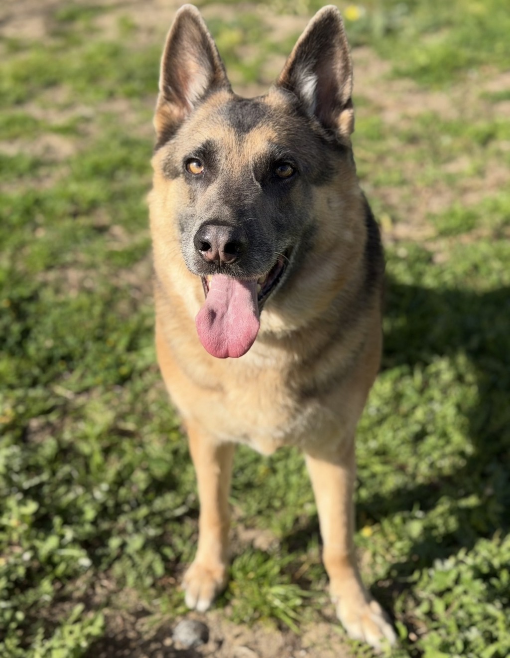 Ragnar