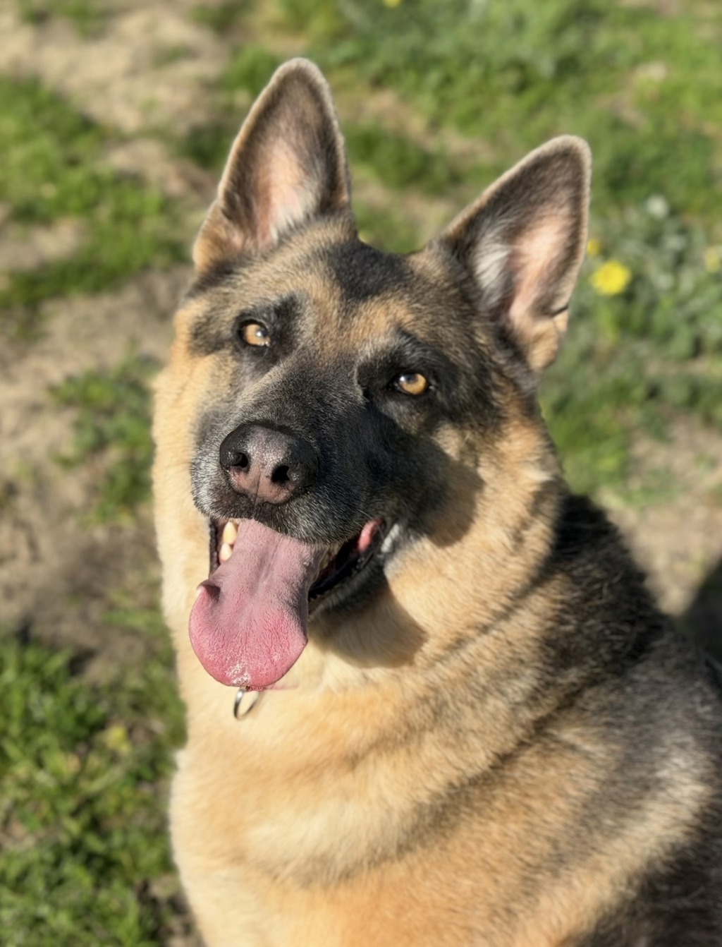 Ragnar