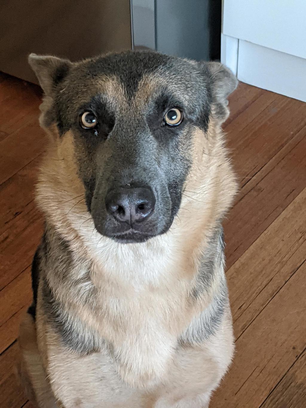 Ragnar