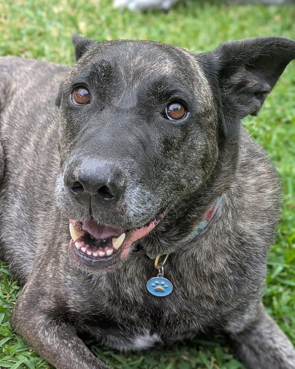 Hugo