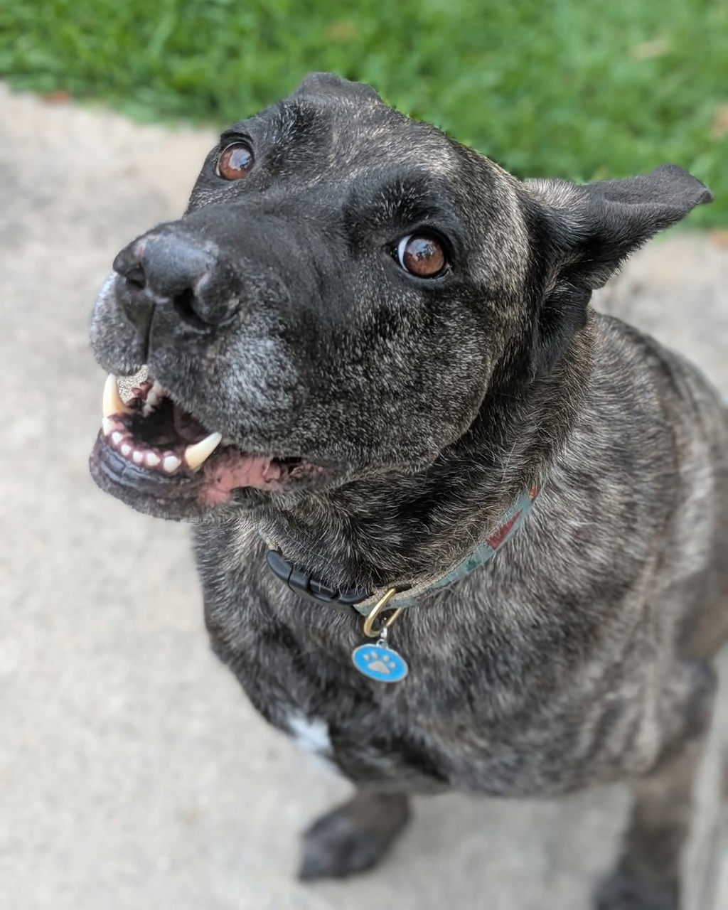 Hugo