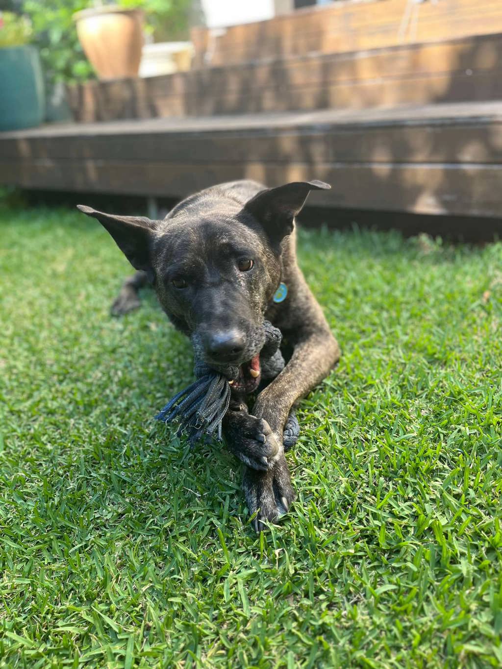 Hugo