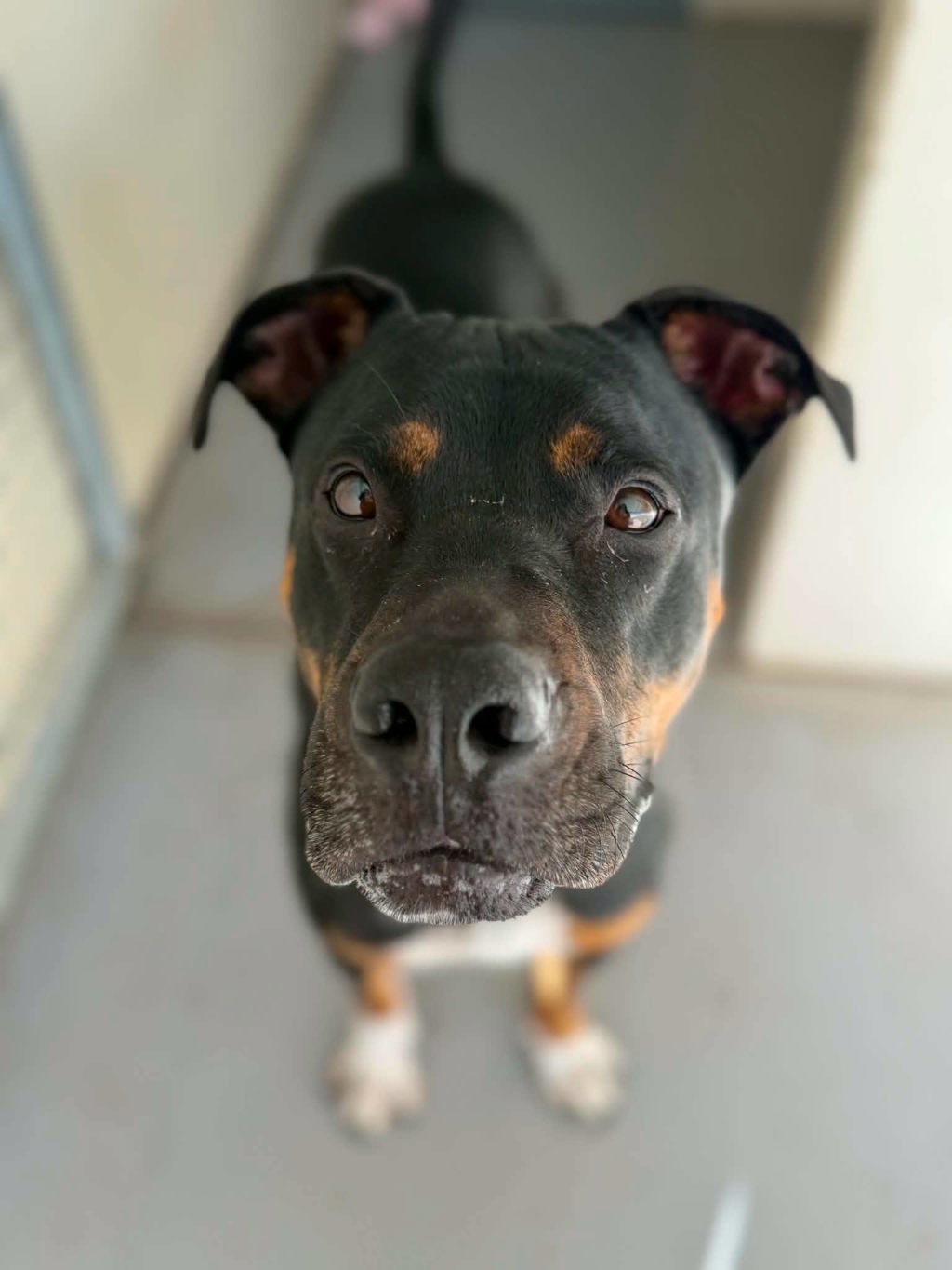 Vader