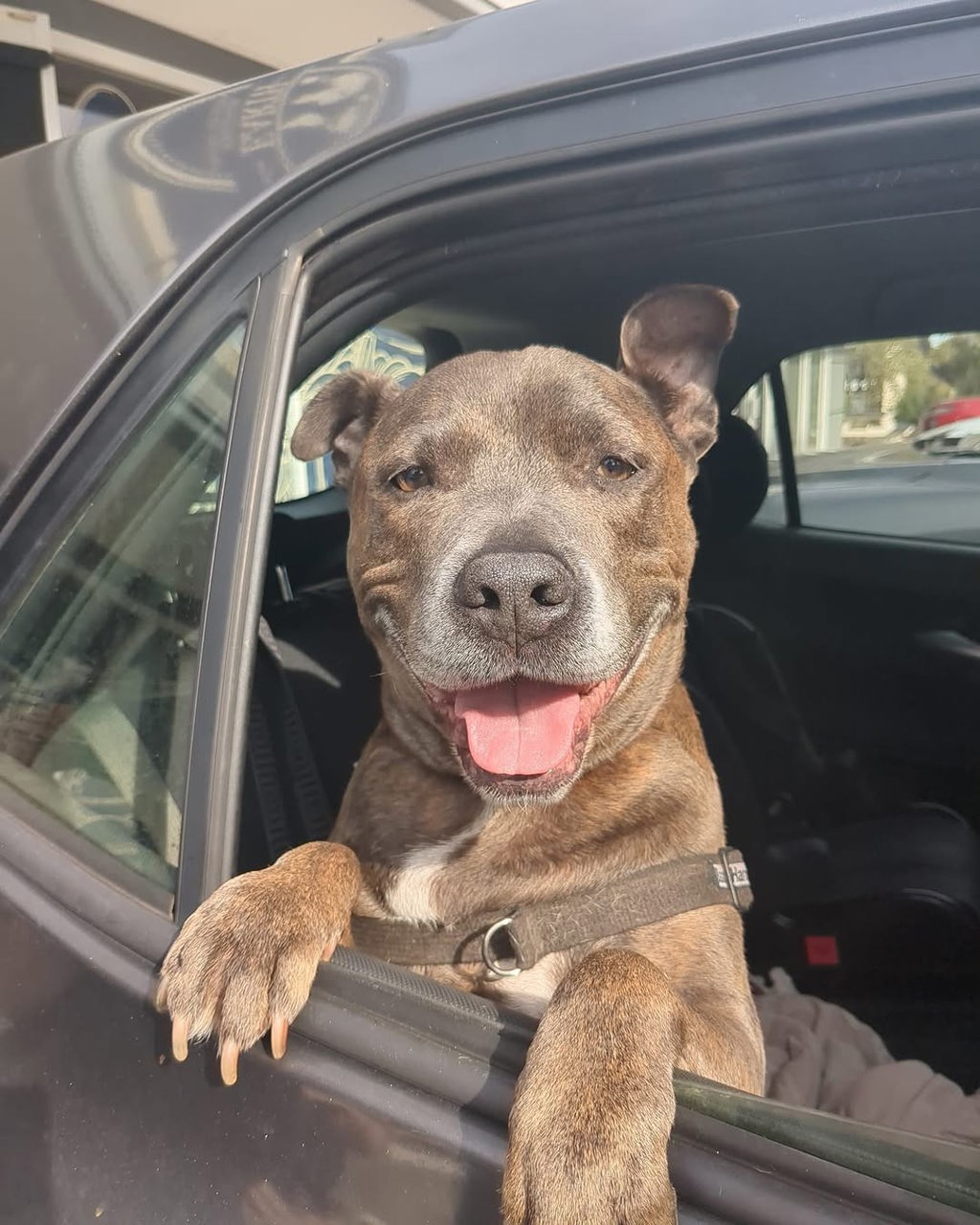 Tyson