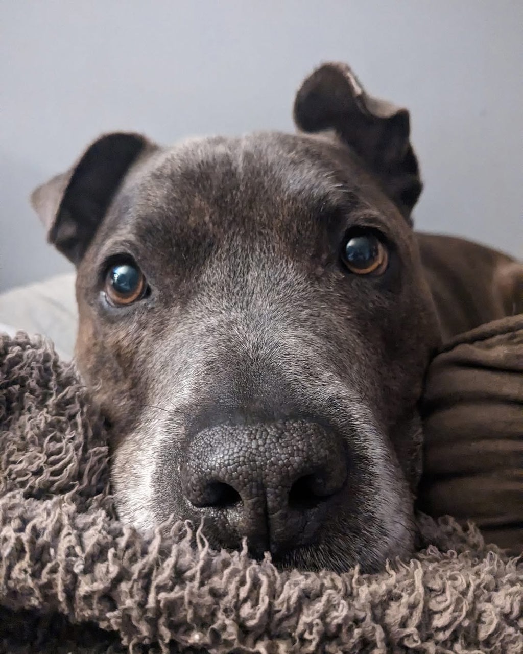 Tyson