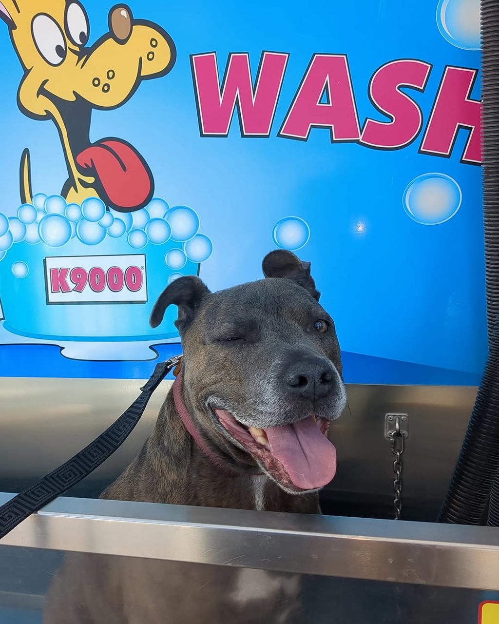 Tyson