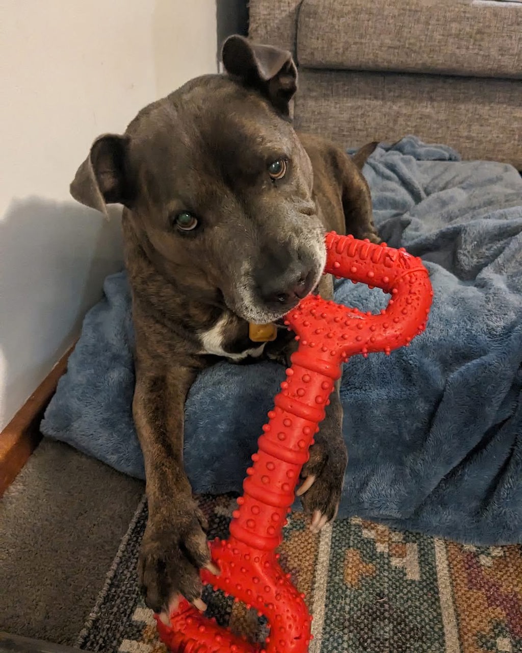 Tyson