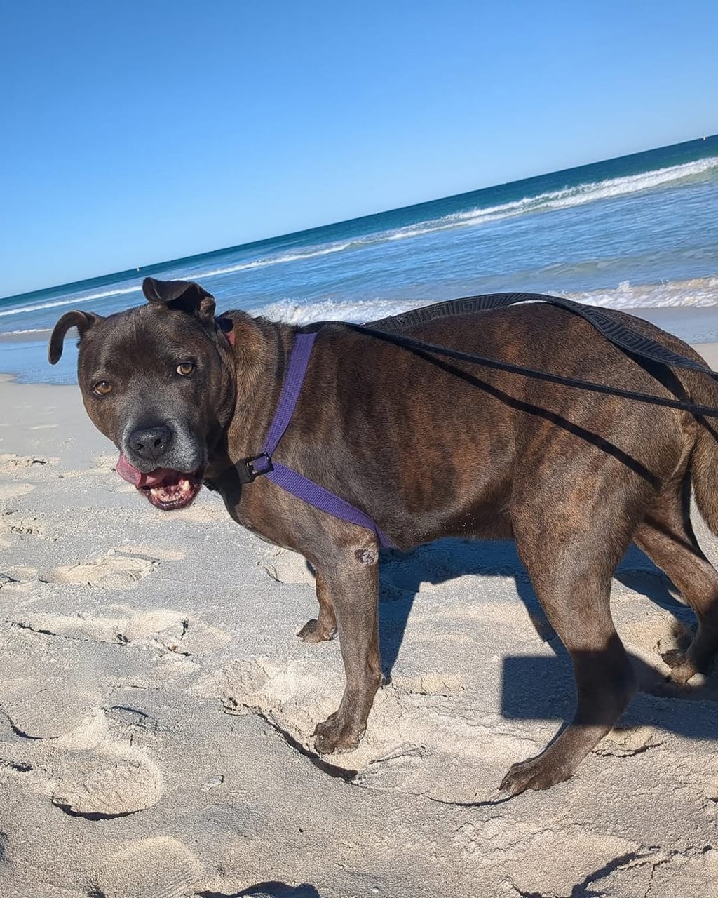 Tyson