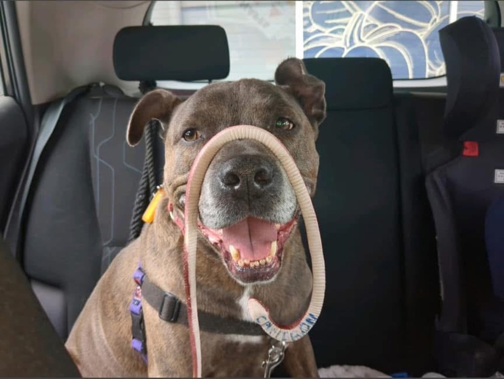 Tyson
