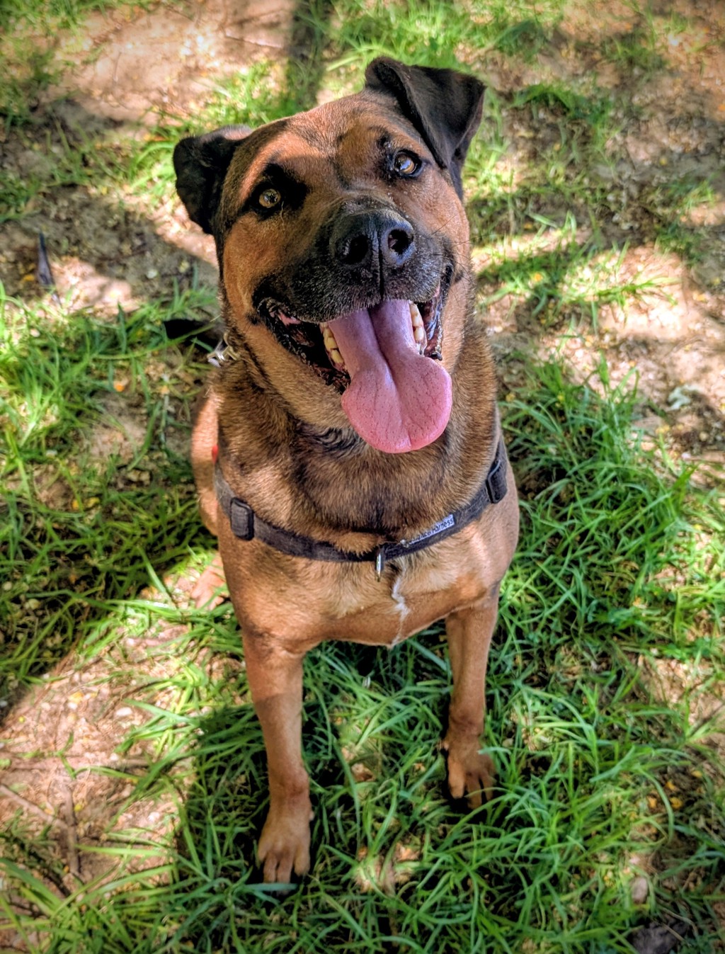 Kobie