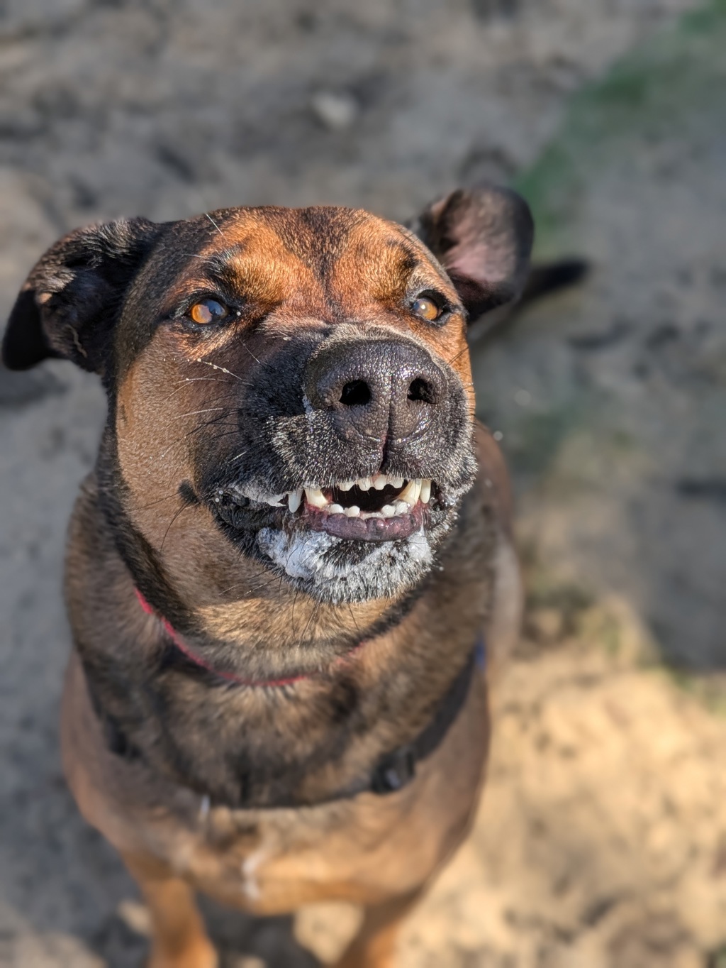 Kobie