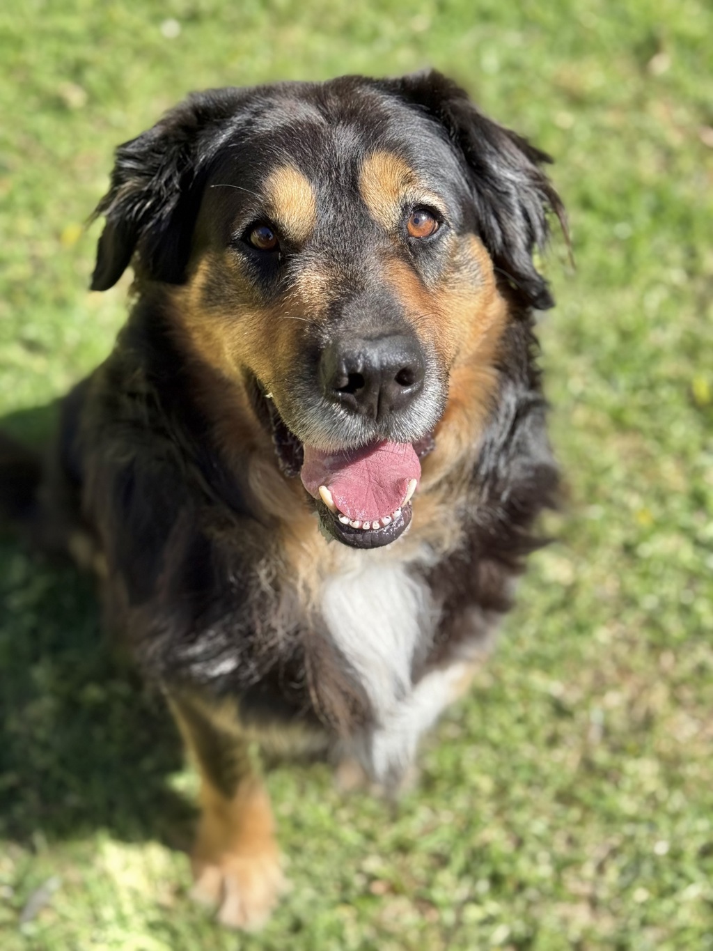 Maxie
