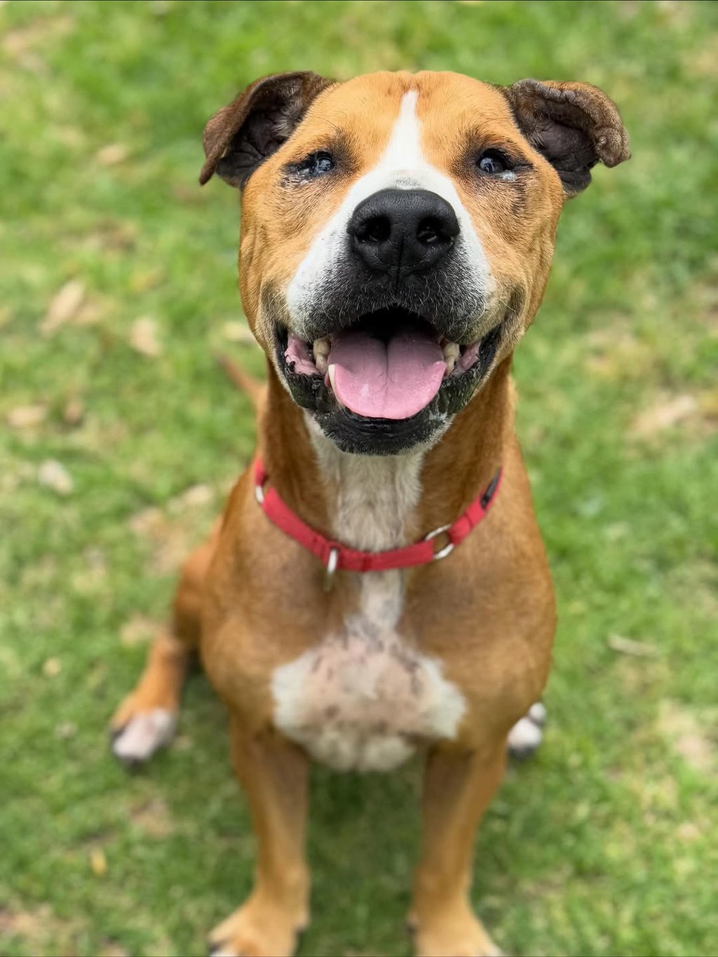 Oscar