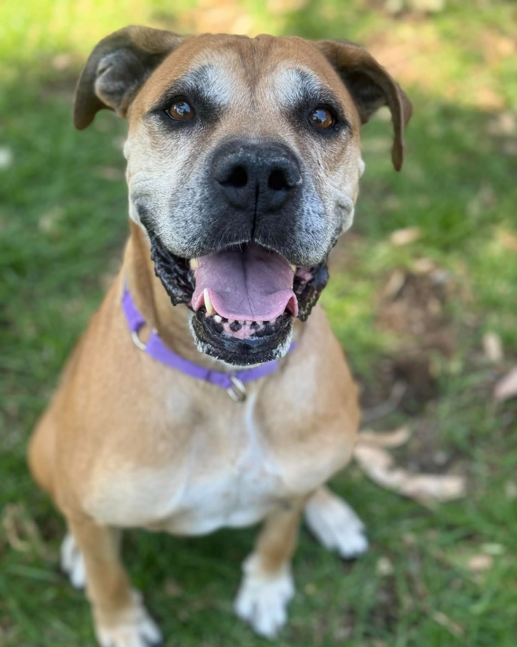 Matilda