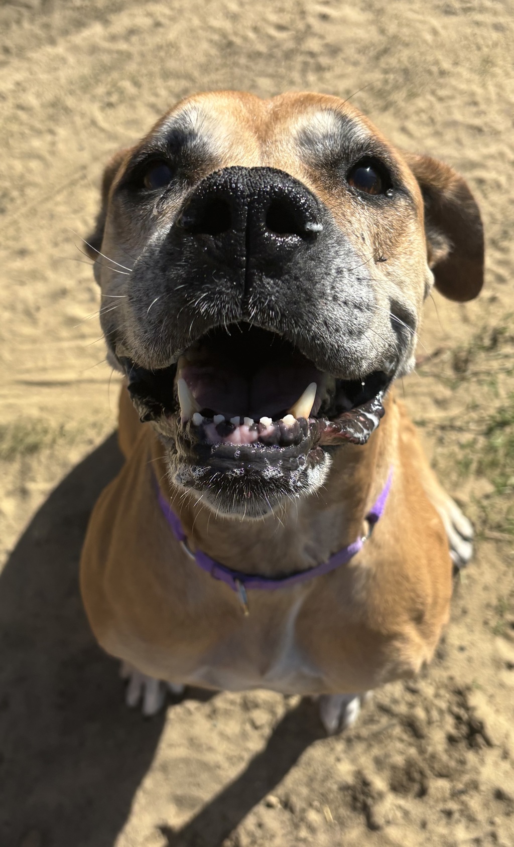 Matilda