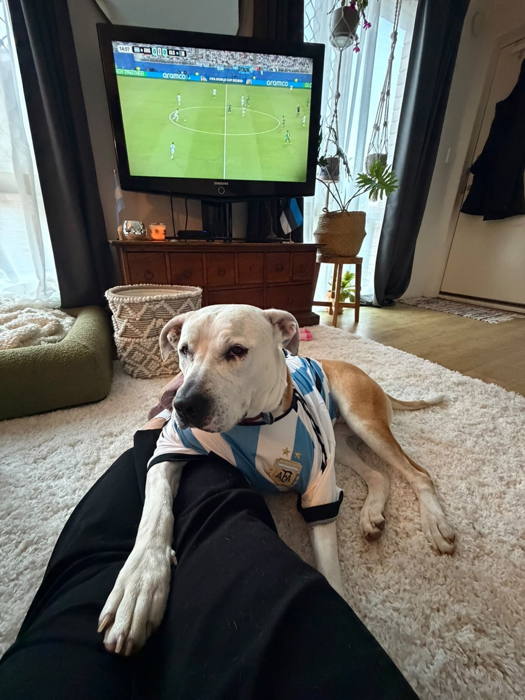 Zola