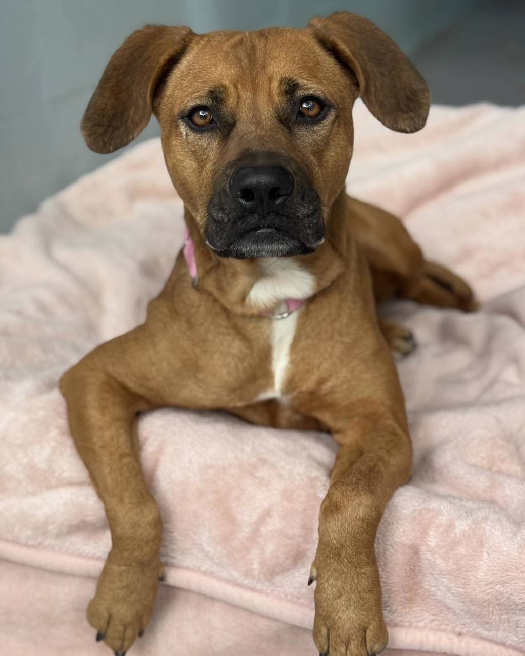 Penny