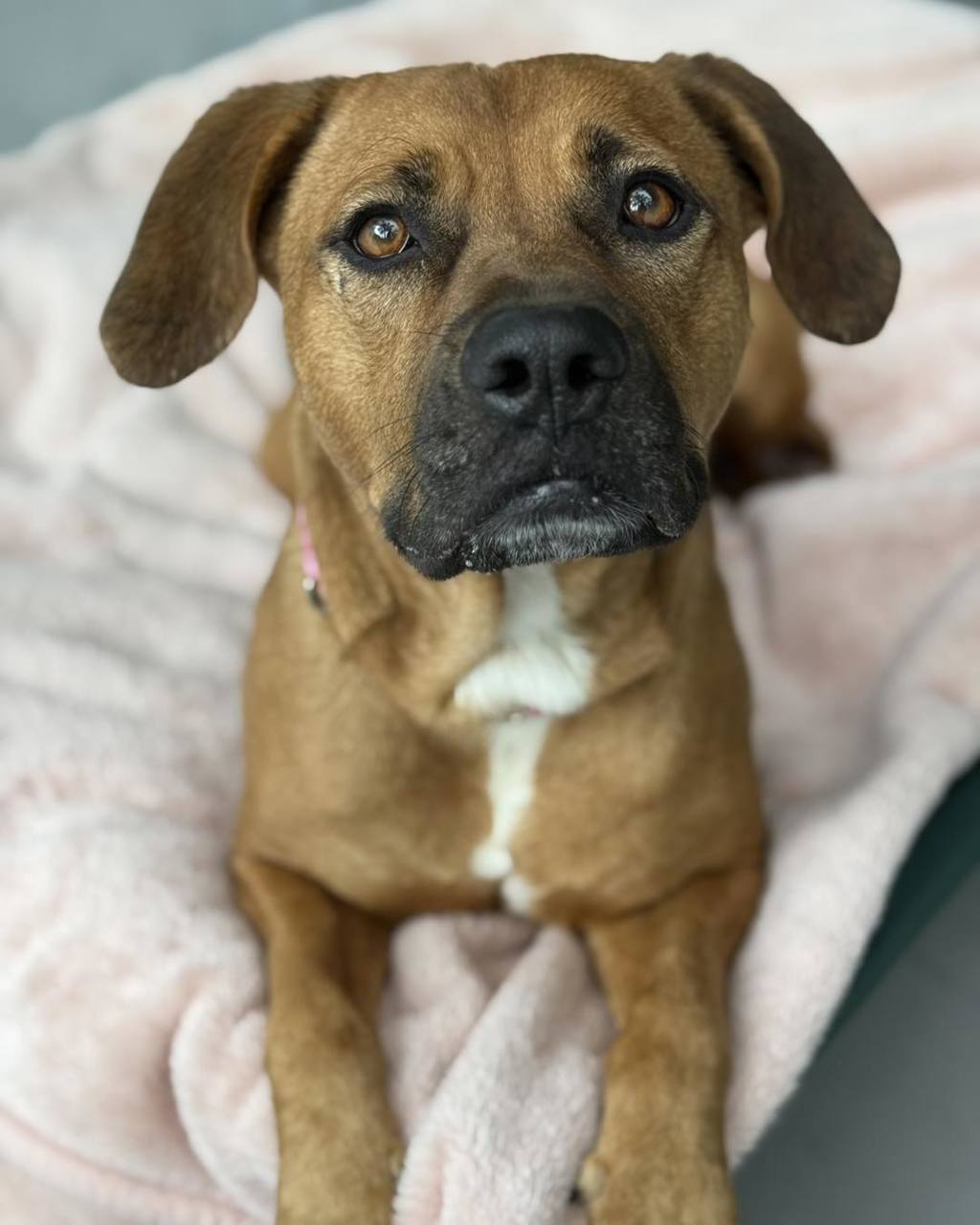 Penny