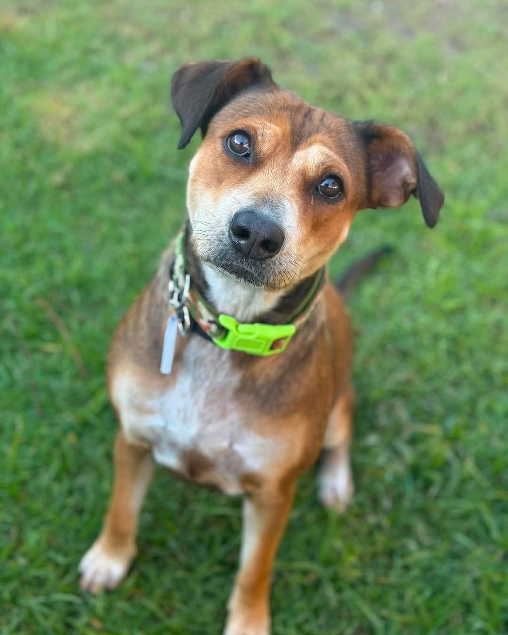 Sadie