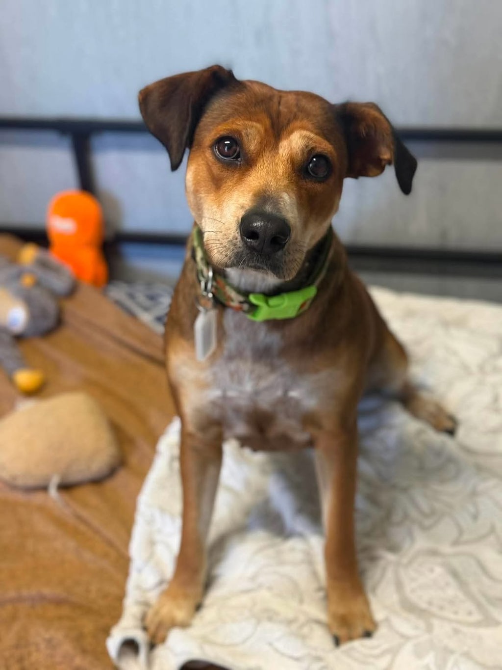 Sadie