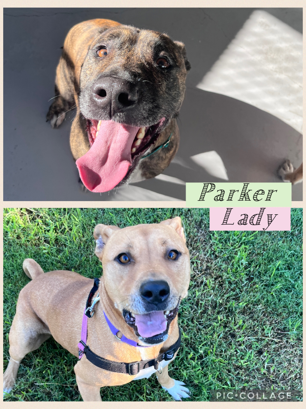 Parker