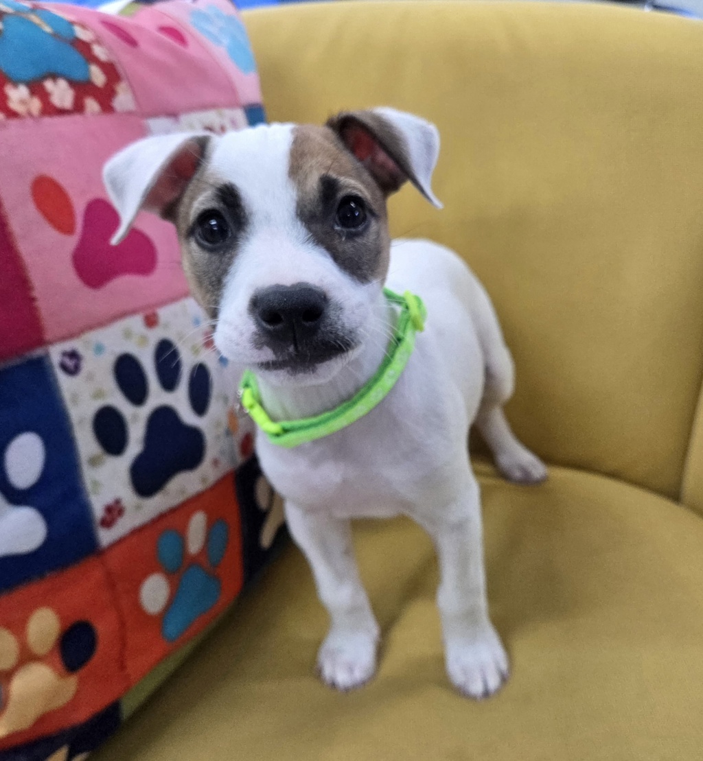 Matilda