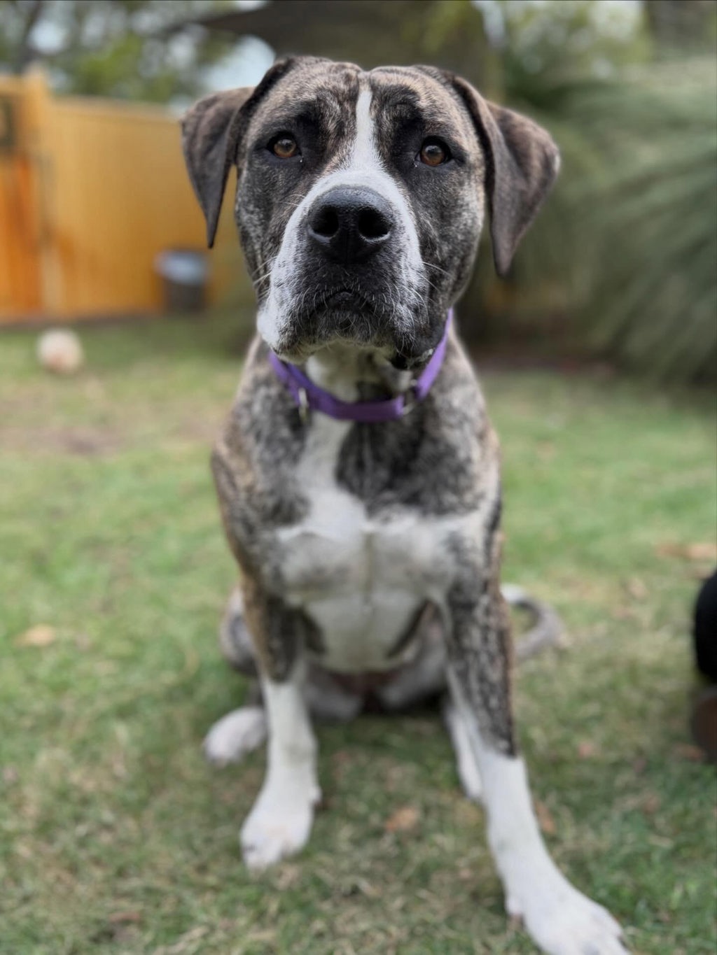 Kiva