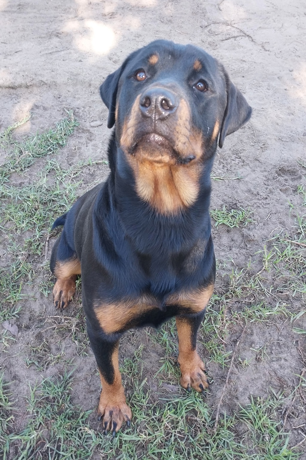 Winnie