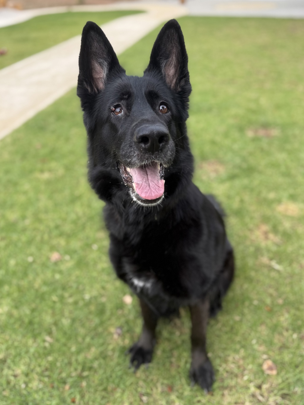 Luna