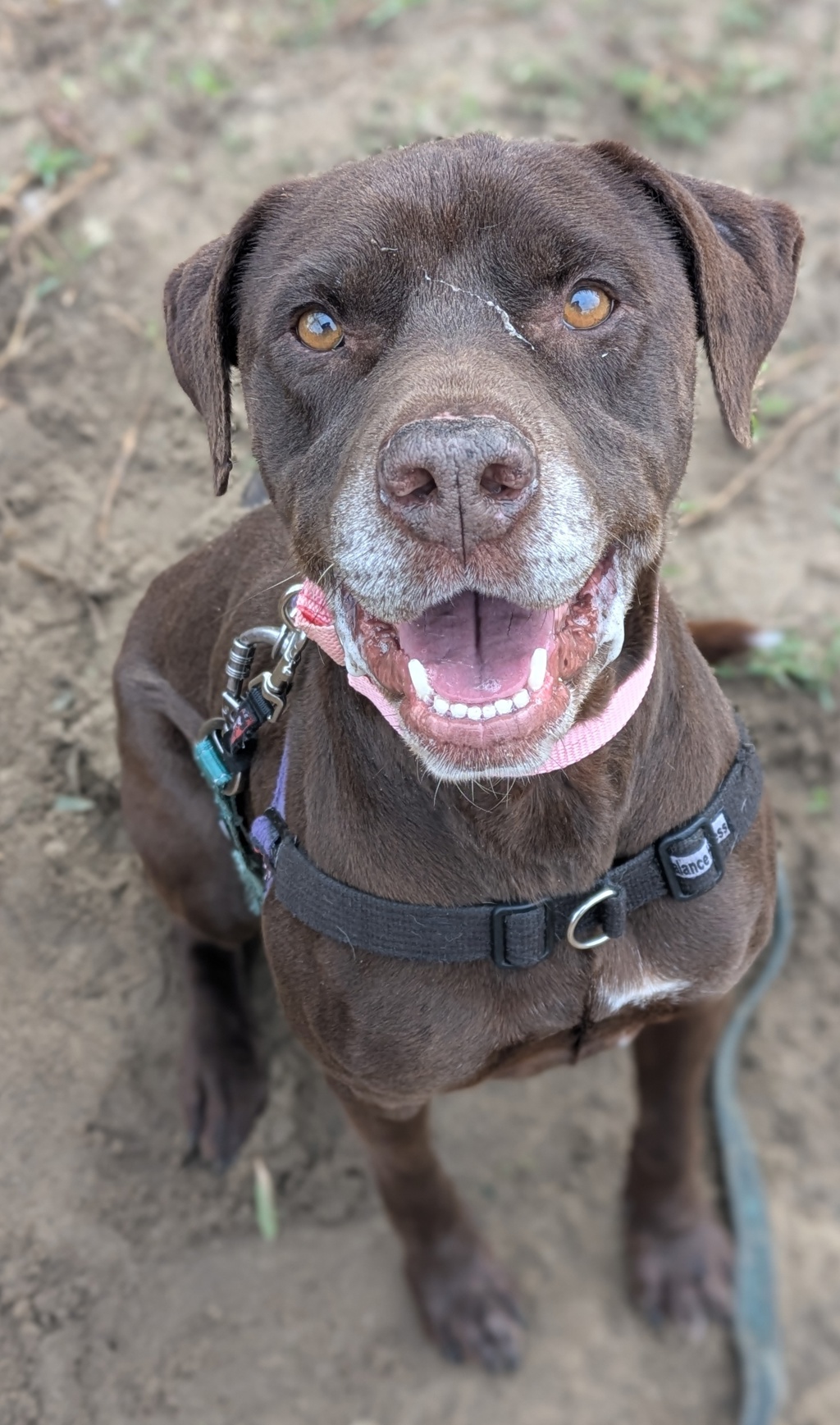 Kita