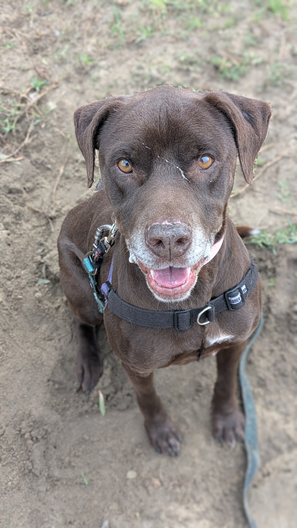 Kita