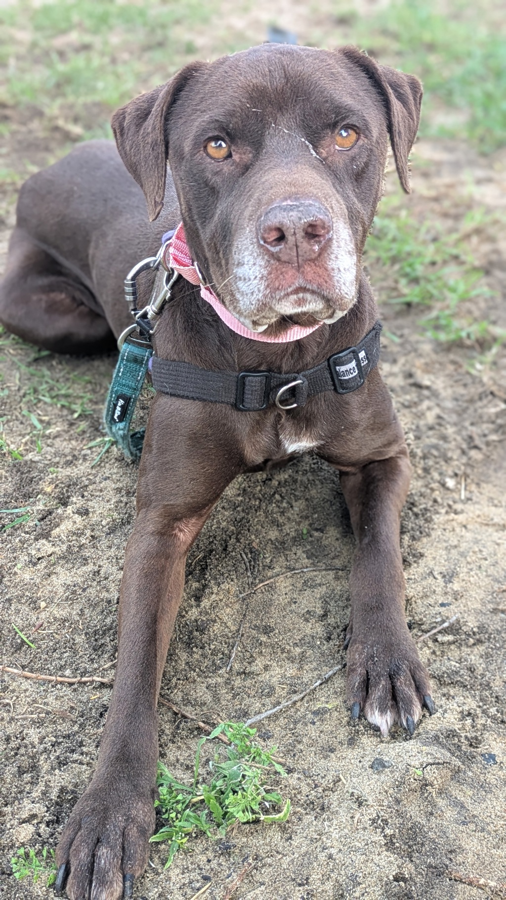 Kita