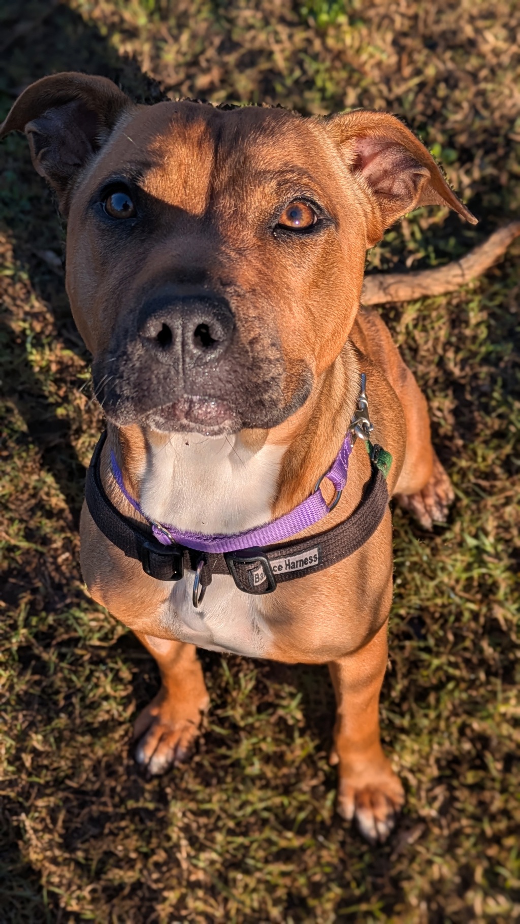 Ruby