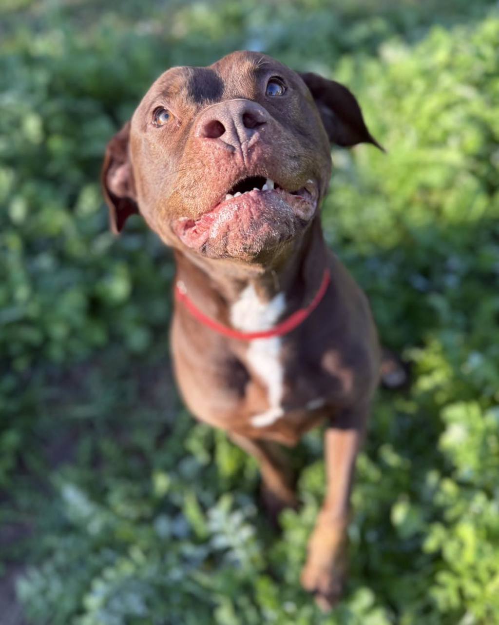 Miss Ruby