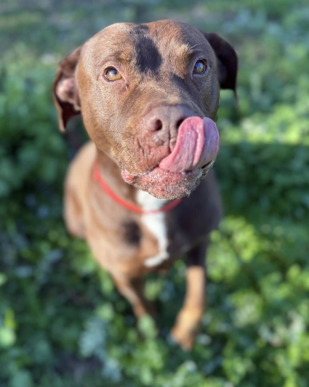 Miss Ruby