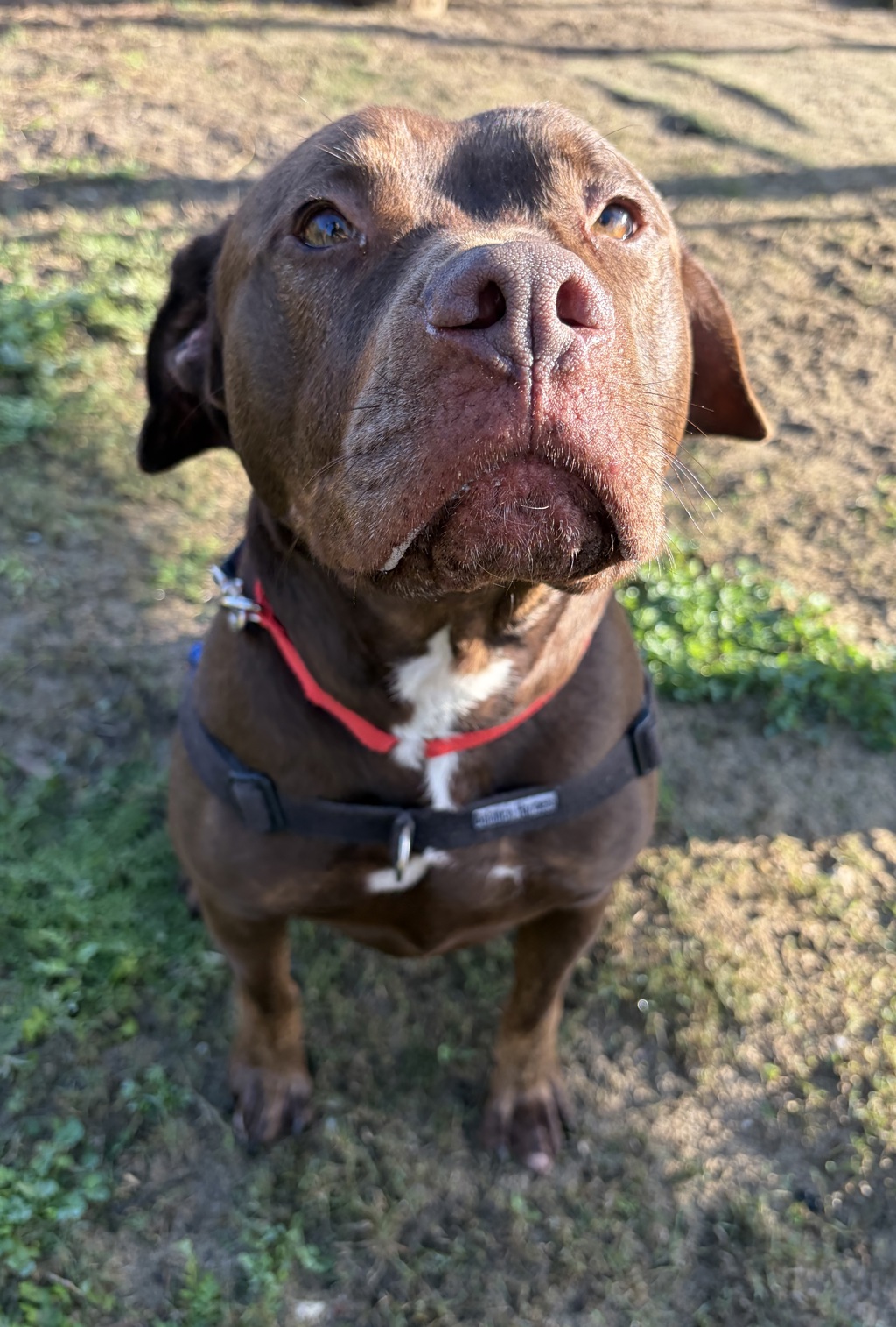 Miss Ruby
