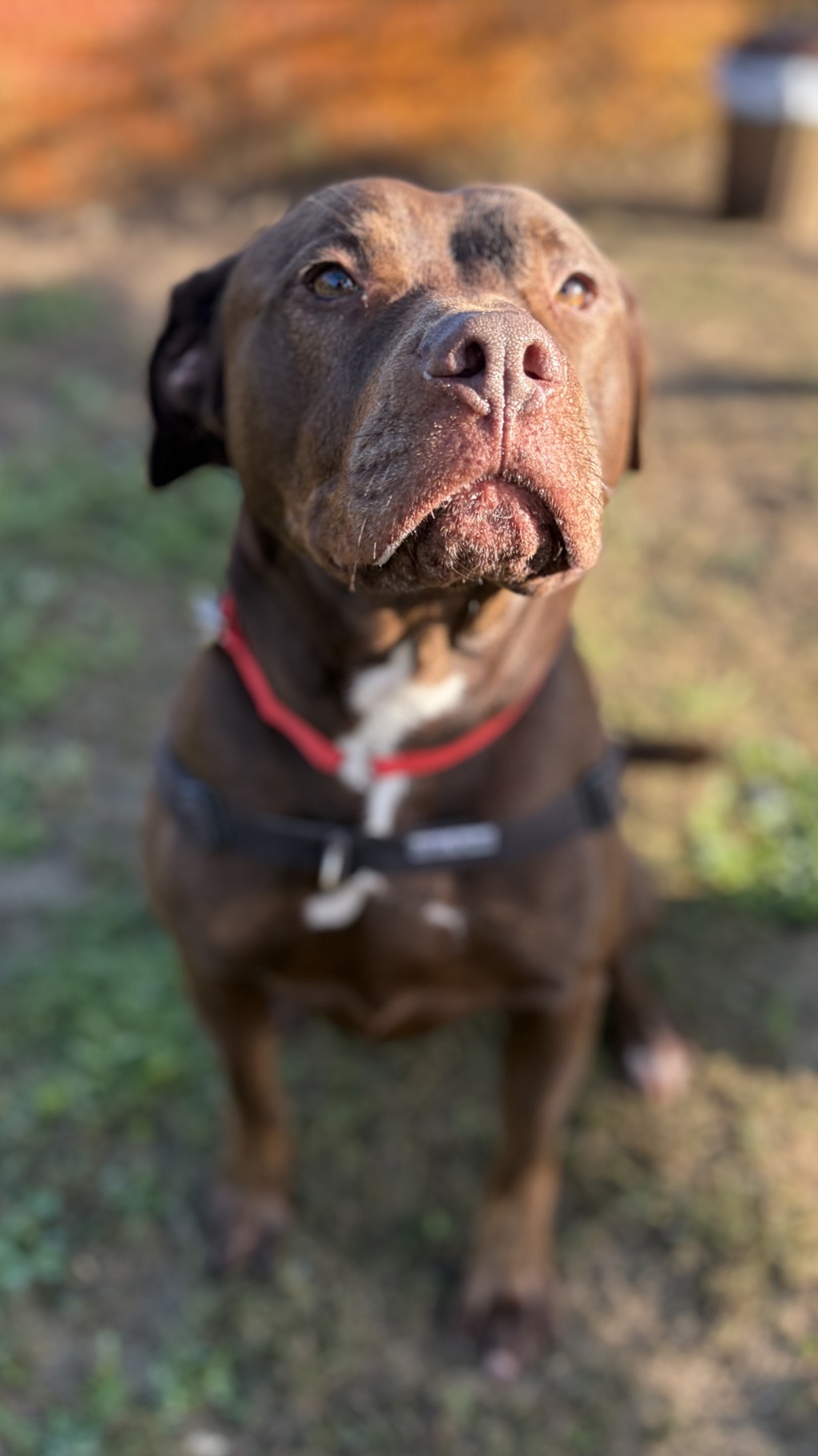 Miss Ruby