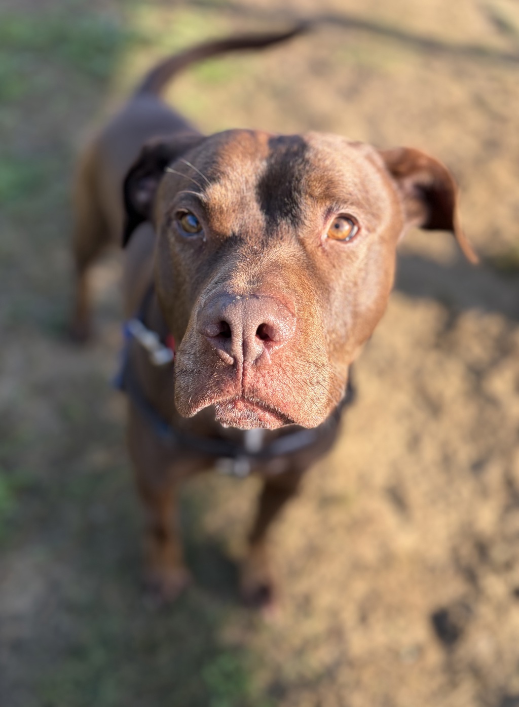 Miss Ruby