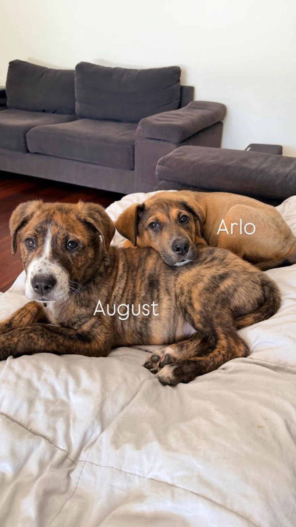 August