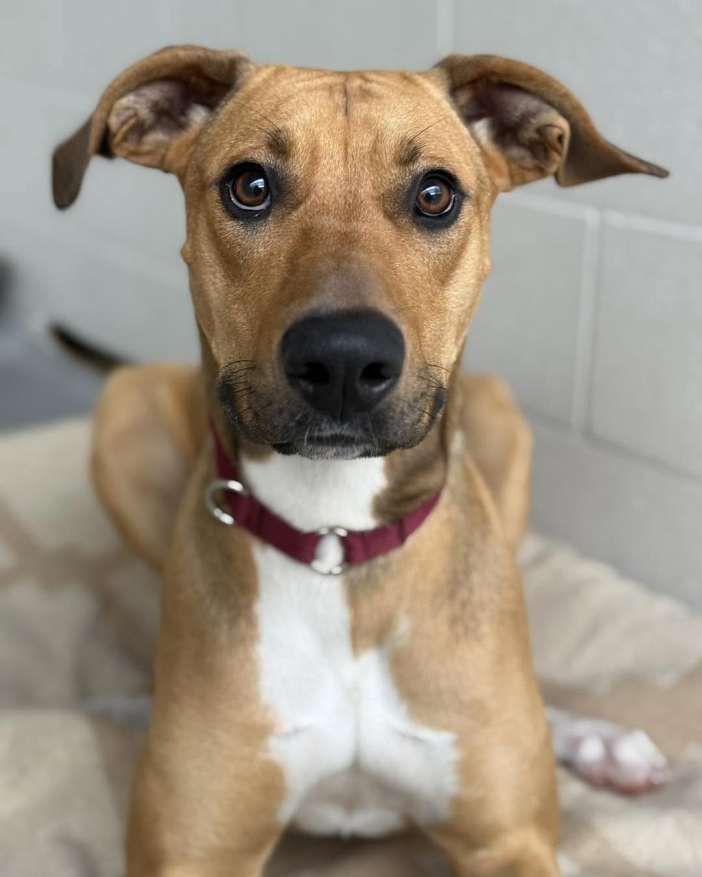 Mia