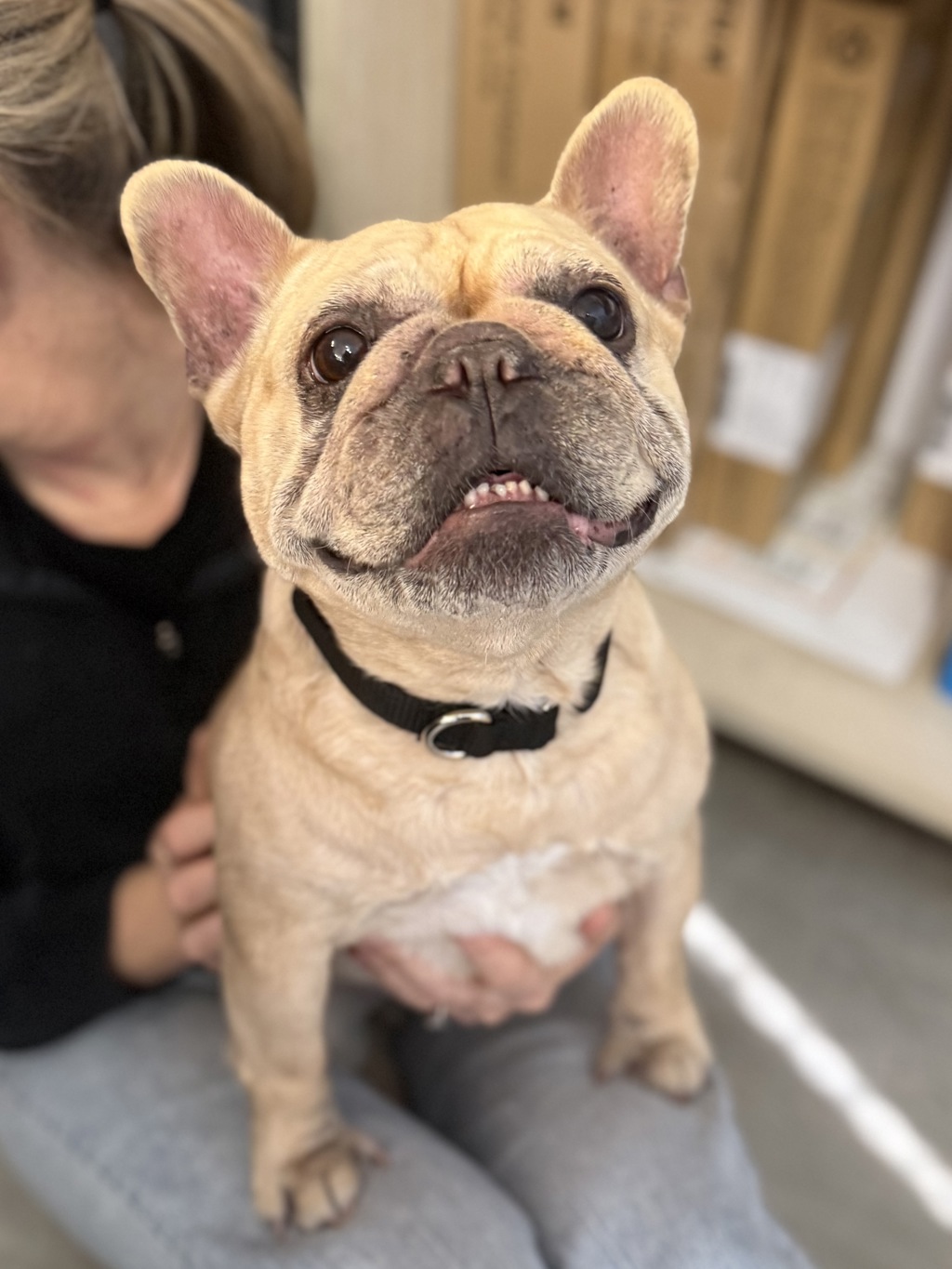 Lulu