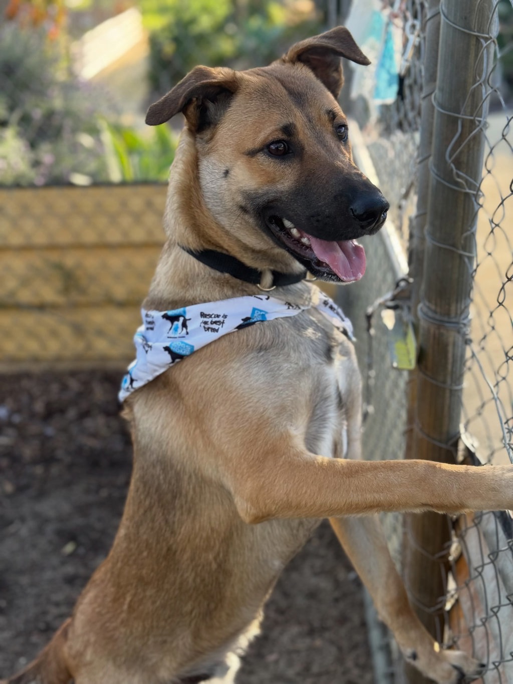 Nikos (now Ares)